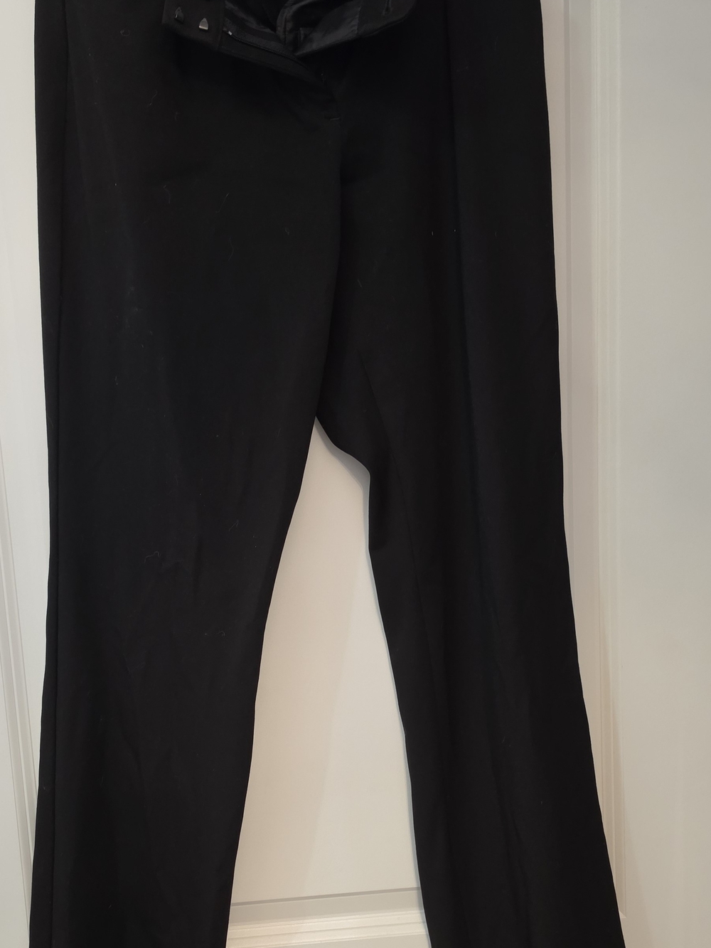 Express Editor Barely Boot Cut Dress Pants